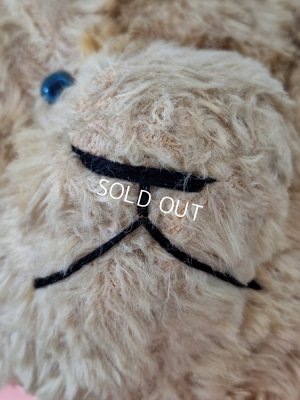 画像4: JPMアンティークテディベア