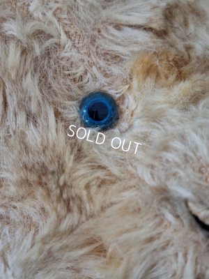 画像3: JPMアンティークテディベア