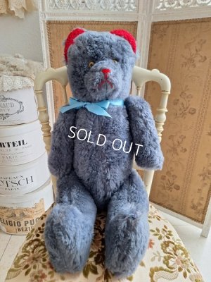 画像15: JPMブルーテディベア