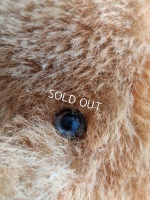 画像7: アンティークフレンチテディベア