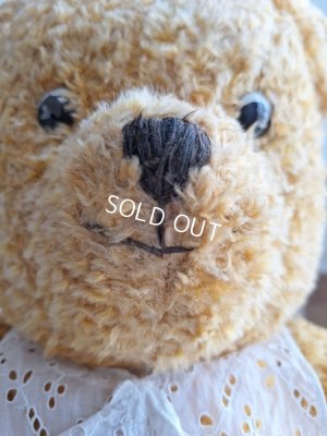 画像4: アンティークテディベア