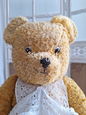 画像5: アンティークテディベア