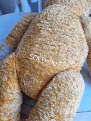 画像11: アンティークテディベア