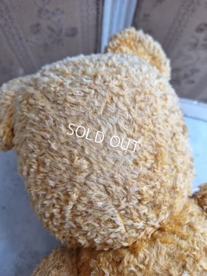 画像13: アンティークテディベア