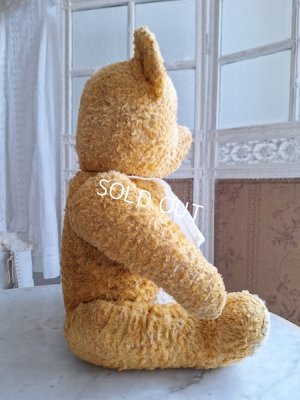 画像14: アンティークテディベア