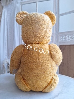画像15: アンティークテディベア