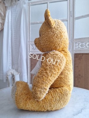 画像16: アンティークテディベア