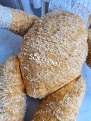 画像18: アンティークテディベア