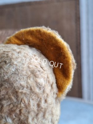 画像7: アンティークJPMテディベア