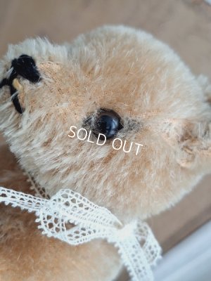 画像2: シュタイフ四肢立のミニベア