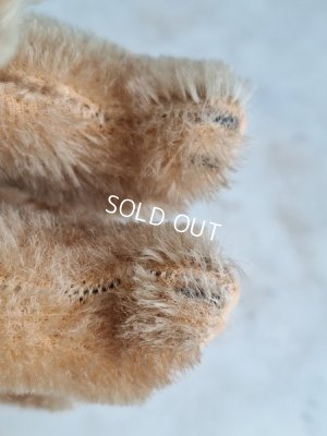 画像4: シュタイフ四肢立のミニベア