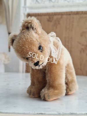 画像6: シュタイフ四肢立のミニベア