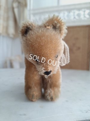 画像7: シュタイフ四肢立のミニベア