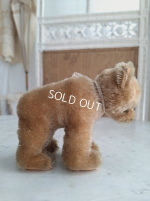 画像8: シュタイフ四肢立のミニベア