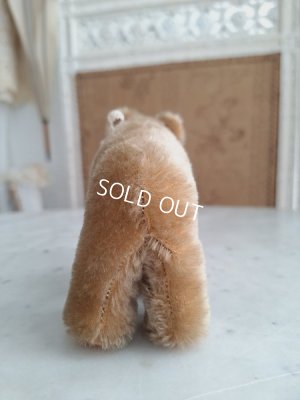 画像9: シュタイフ四肢立のミニベア