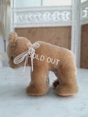 画像10: シュタイフ四肢立のミニベア