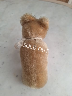 画像12: シュタイフ四肢立のミニベア