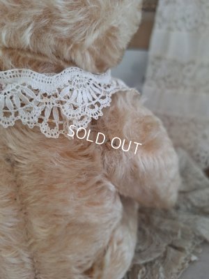 画像4: アンティークシュタイフテディベア