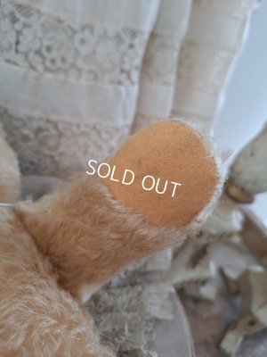 画像7: アンティークシュタイフテディベア