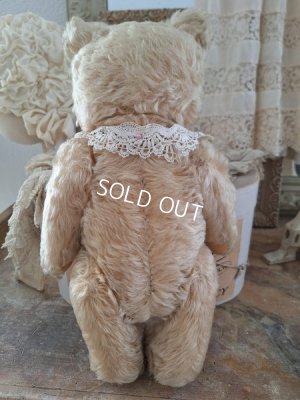 画像9: アンティークシュタイフテディベア