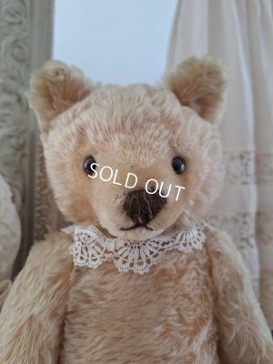 画像11: アンティークシュタイフテディベア