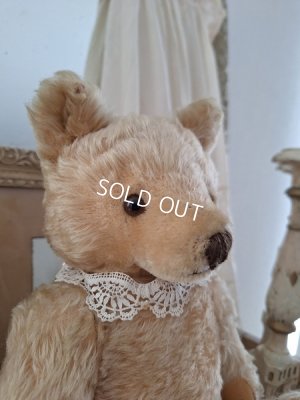 画像3: アンティークシュタイフテディベア