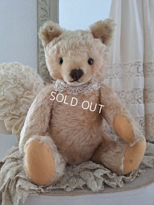 画像12: アンティークシュタイフテディベア