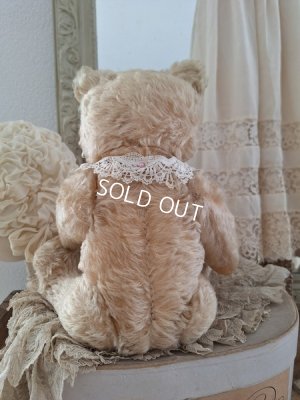 画像17: アンティークシュタイフテディベア