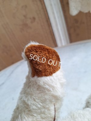 画像8: アンティークテディベア