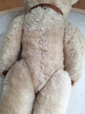 画像11: アンティークテディベア