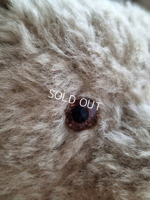 画像5: アンティークテディベア