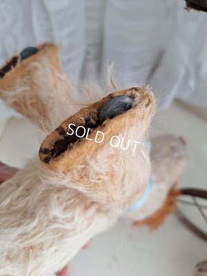 画像12: アンティーク車輪付きワンちゃん