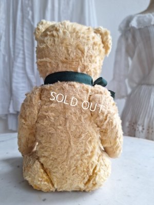 画像7: アンティークテディベア