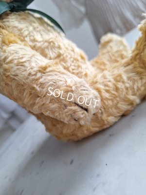 画像10: アンティークテディベア