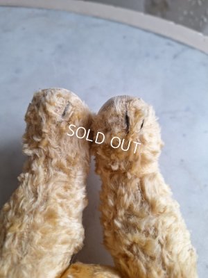 画像11: アンティークテディベア