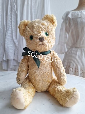 画像2: アンティークテディベア
