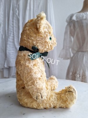 画像9: アンティークテディベア