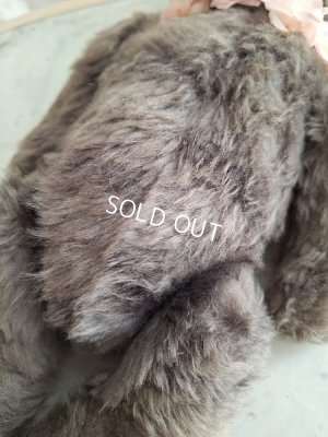 画像5: JPMタビーキャット