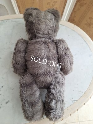 画像9: JPMタビーキャット