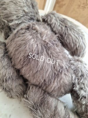 画像10: JPMタビーキャット