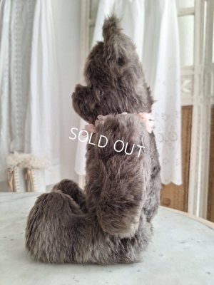 画像14: JPMタビーキャット