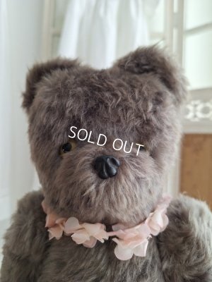 画像2: JPMタビーキャット