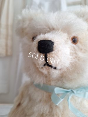 画像4: アンティークテディベア