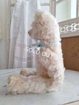 画像13: アンティークテディベア