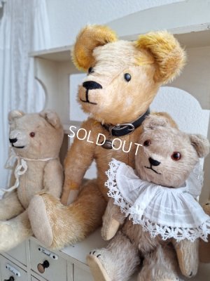 画像1: アンテークテディベア