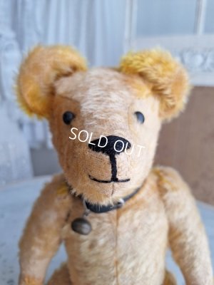 画像2: アンテークテディベア