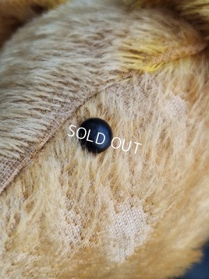 画像4: アンテークテディベア