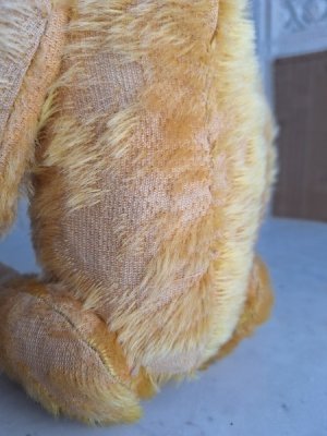 画像8: アンテークテディベア