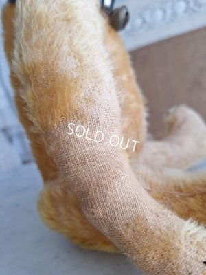 画像19: アンテークテディベア