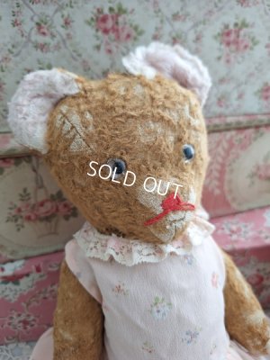 画像19: フレンチJPMテディベア